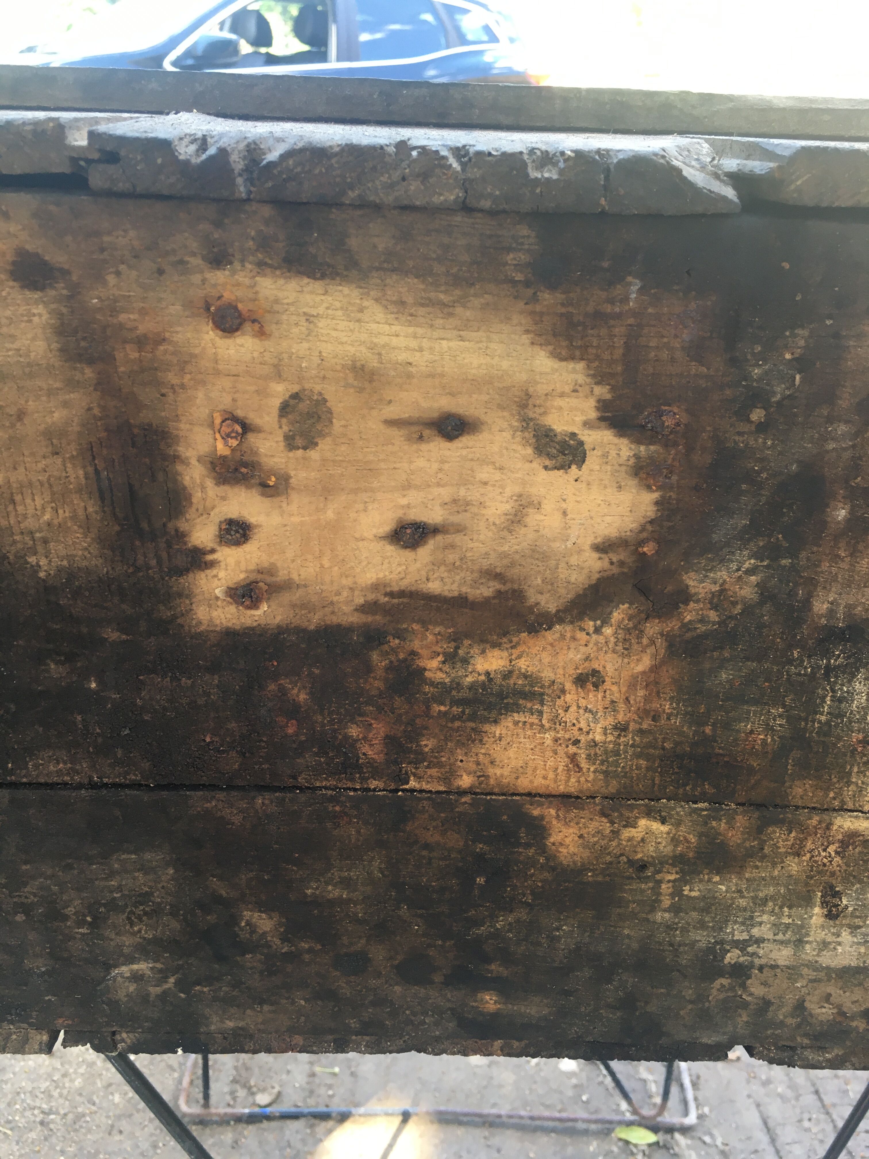 Wooden box Chocolate Foal