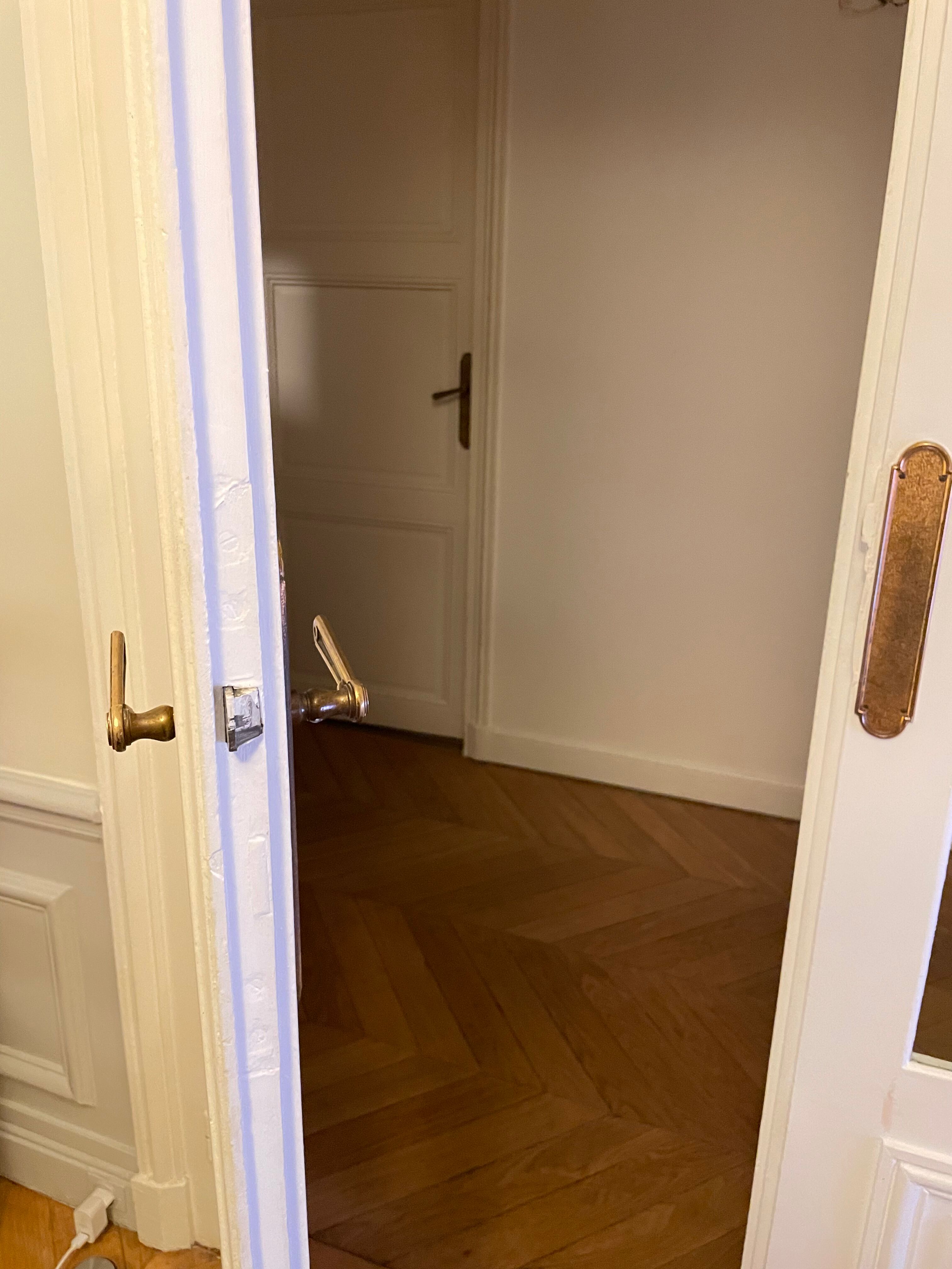 Double glass door Haussmannian apartment