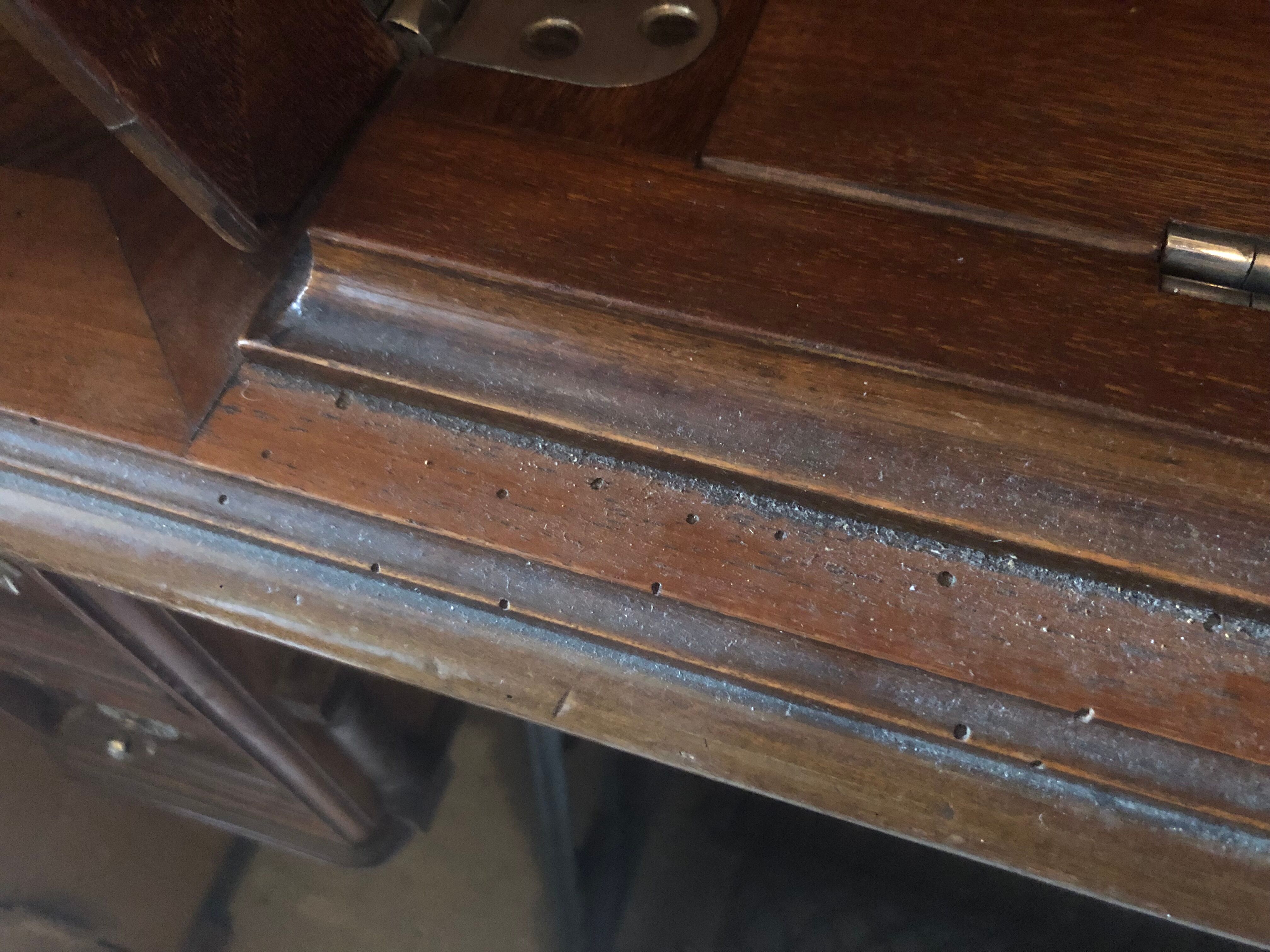 Old neva sewing 1900