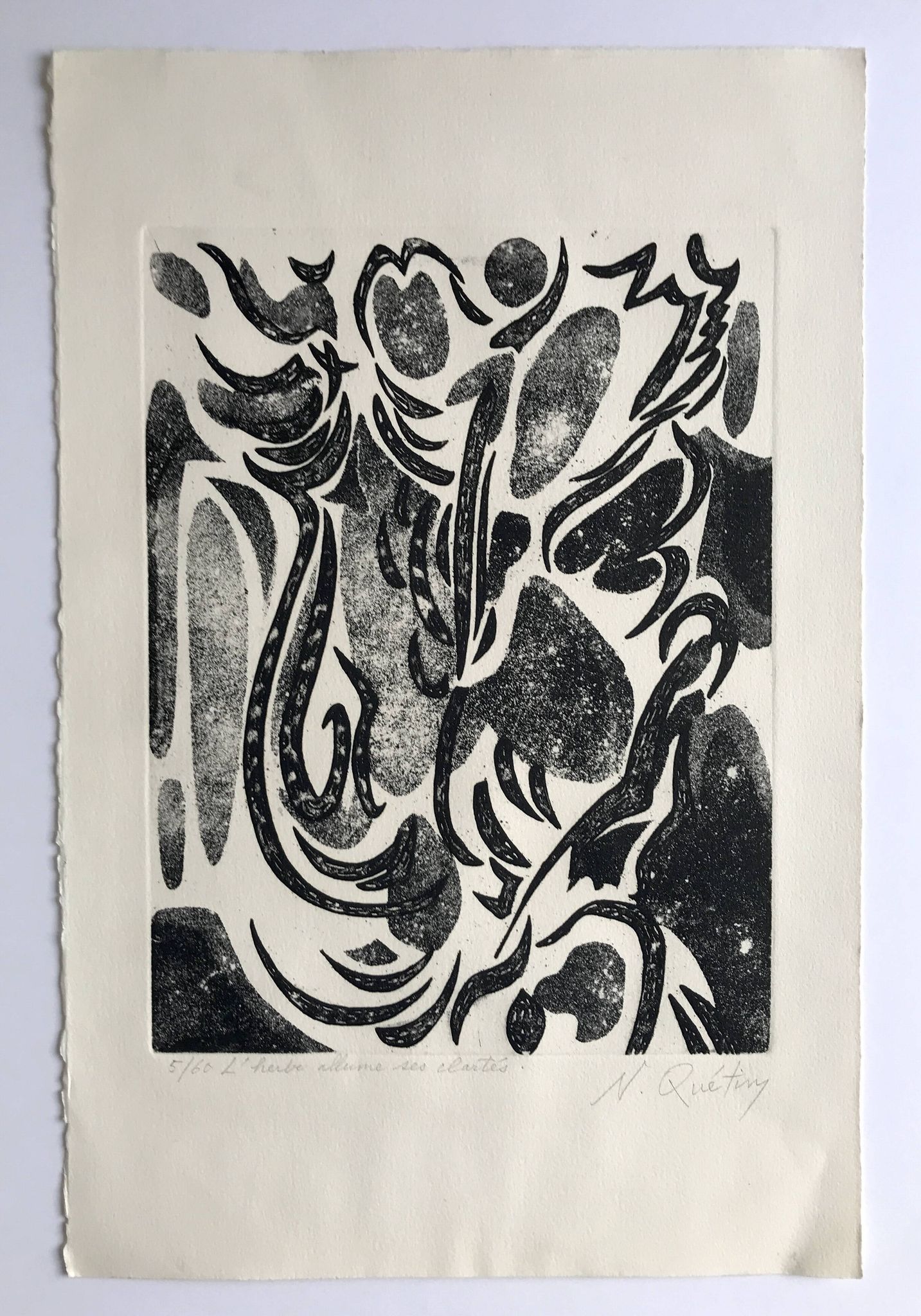 Nicole quétin, the grass lights up its lights, c. 1990. etching signed in pencil