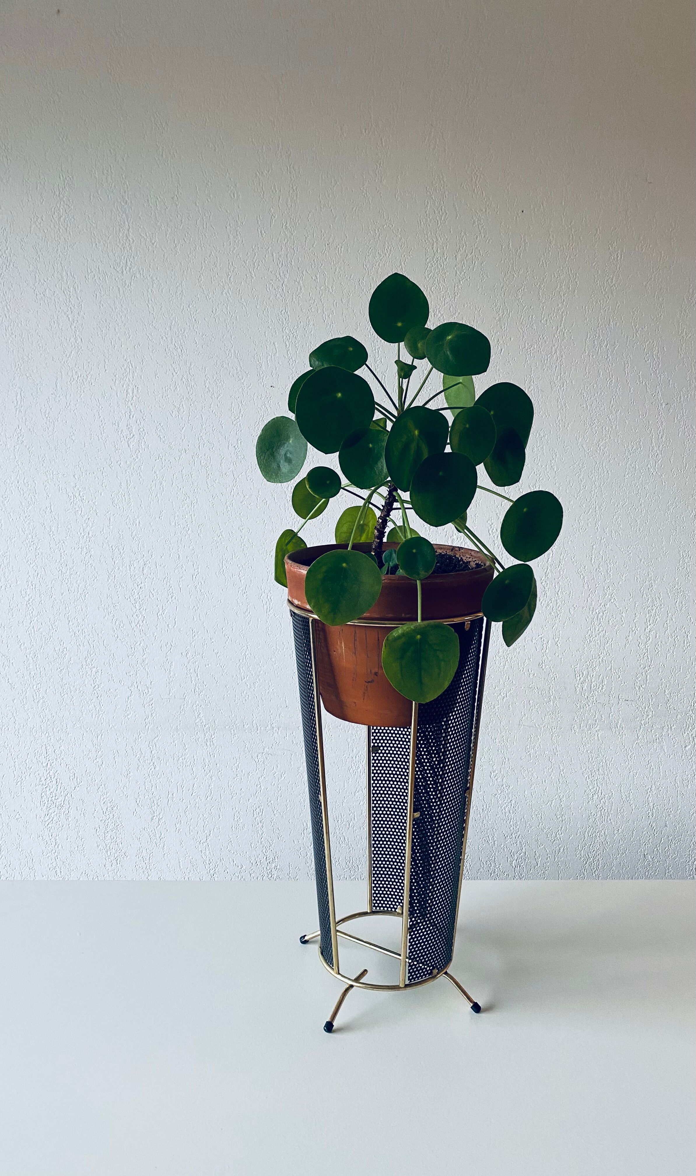 Plant door or design umbrella door