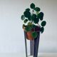 Plant door or design umbrella door