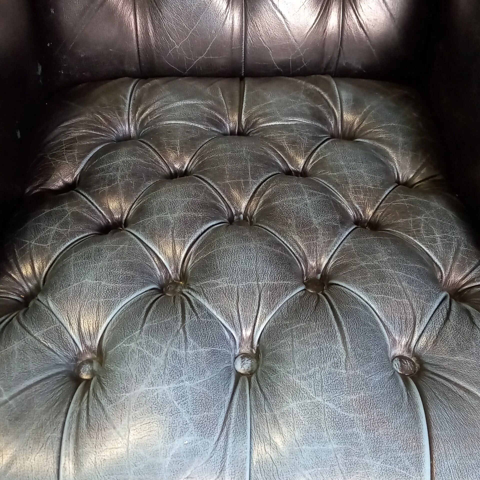 Blue chesterfield barrel back armchair