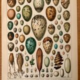 Reserved Laurence - Lot of 3 20th century lithos