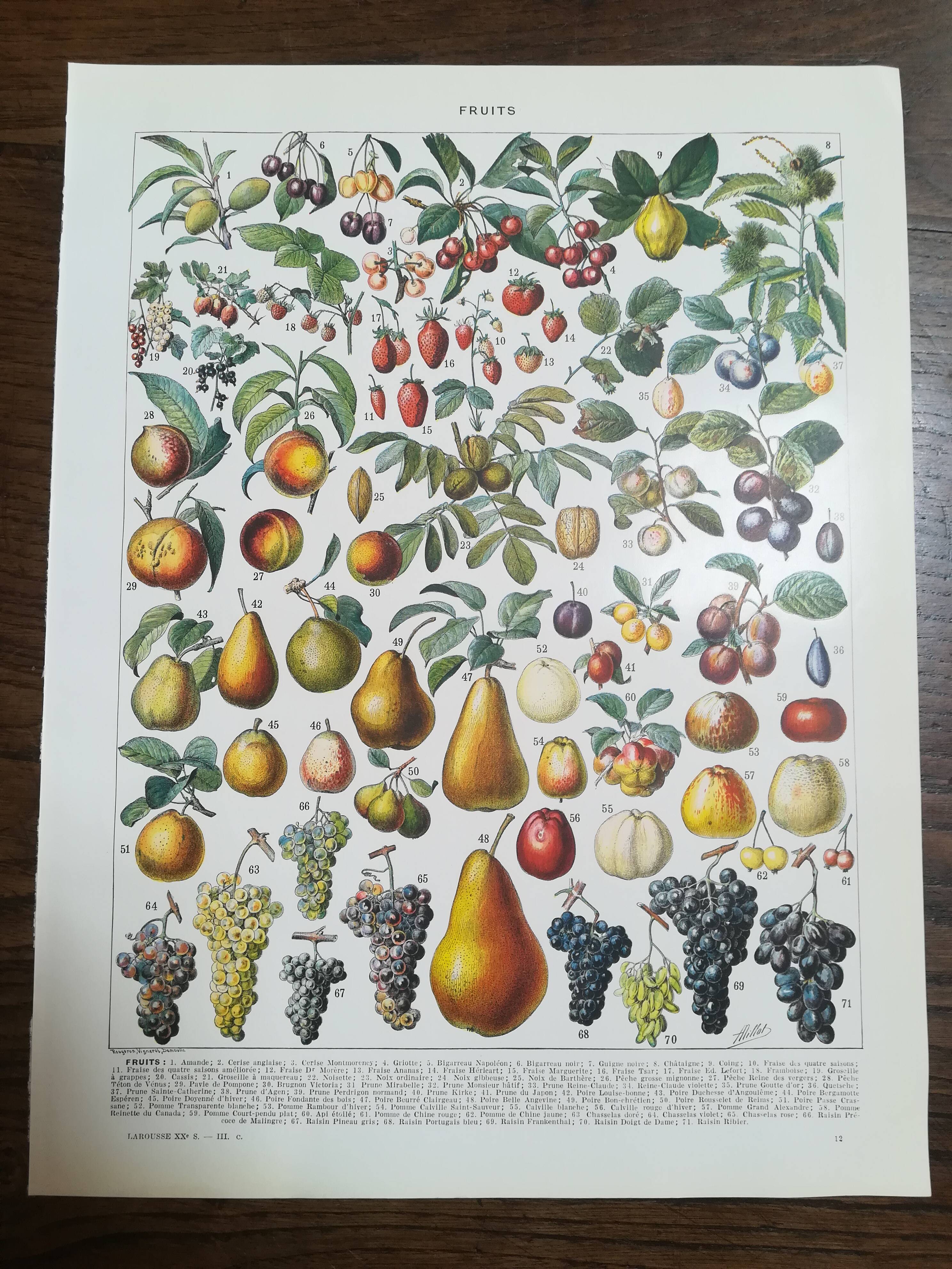 Set of two lithographs on fruits and the orchard from 1928