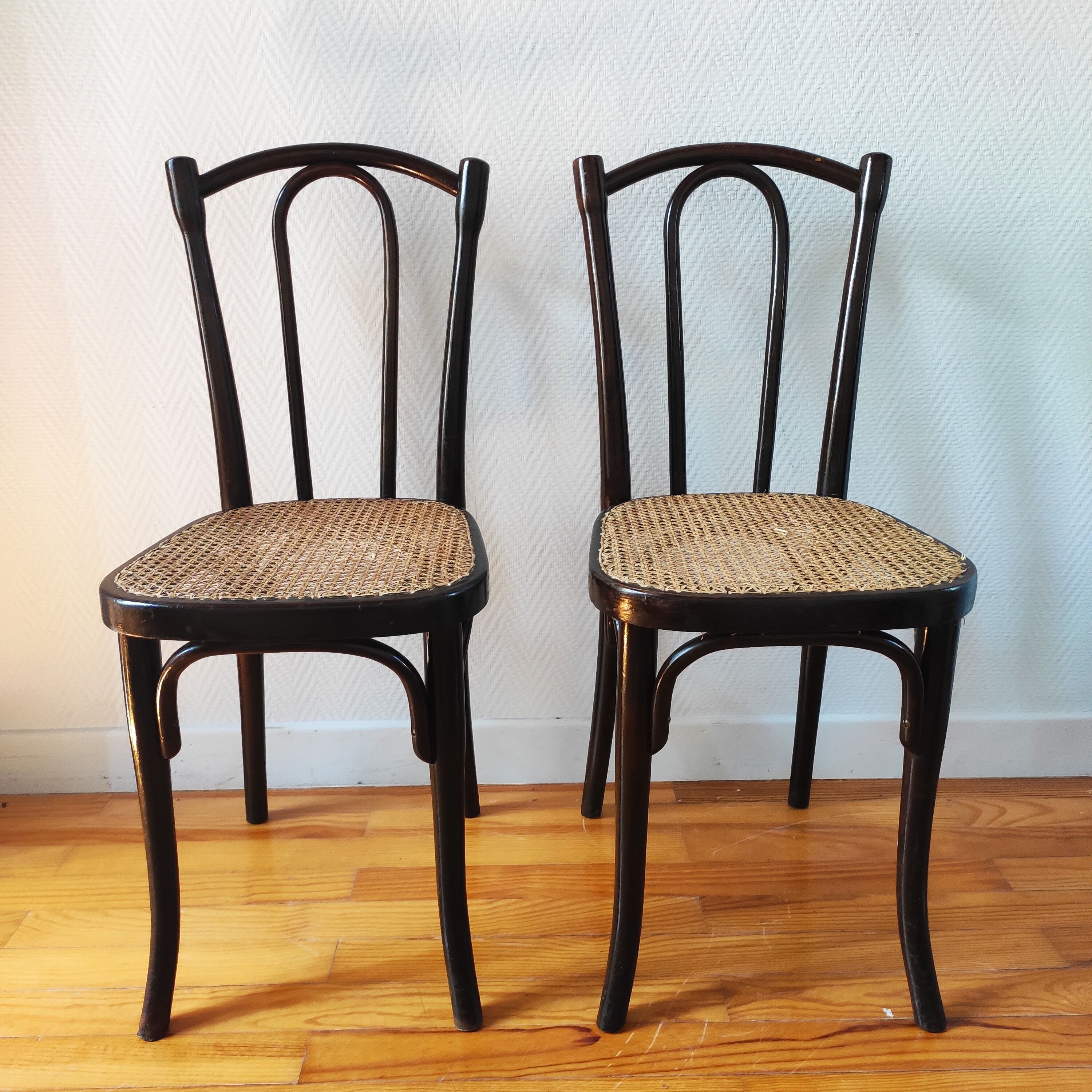 Pair of chairs bistrot Thonet N°56