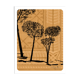 Illustration "Souvenirs de Rome"