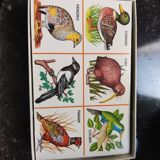 Vintage cardboard lotto birds of the world