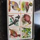 Loto en carton vintage oiseaux du monde