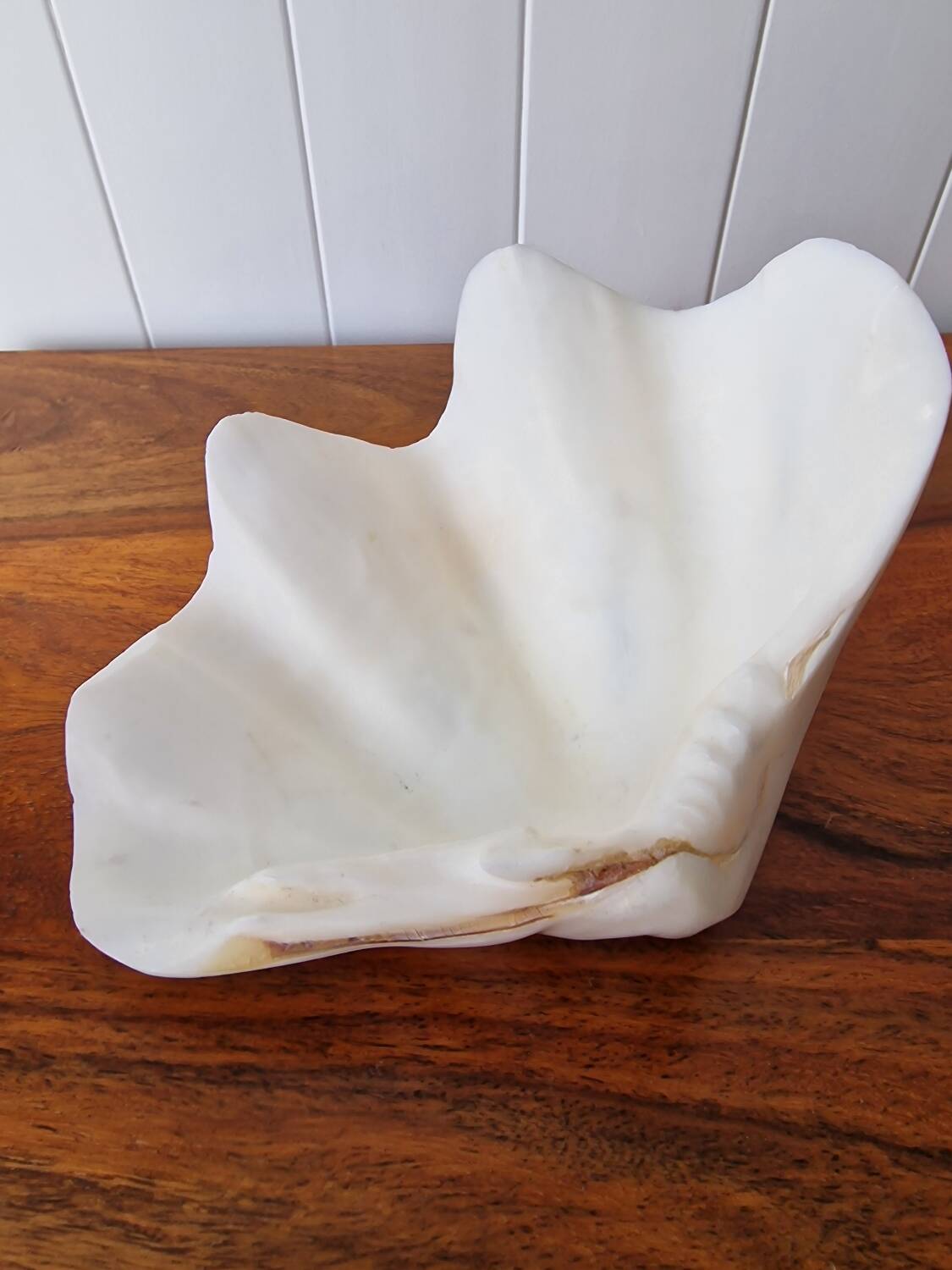 Seashell trinket dish