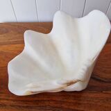 Shell holy water font emptier