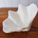 Seashell trinket dish