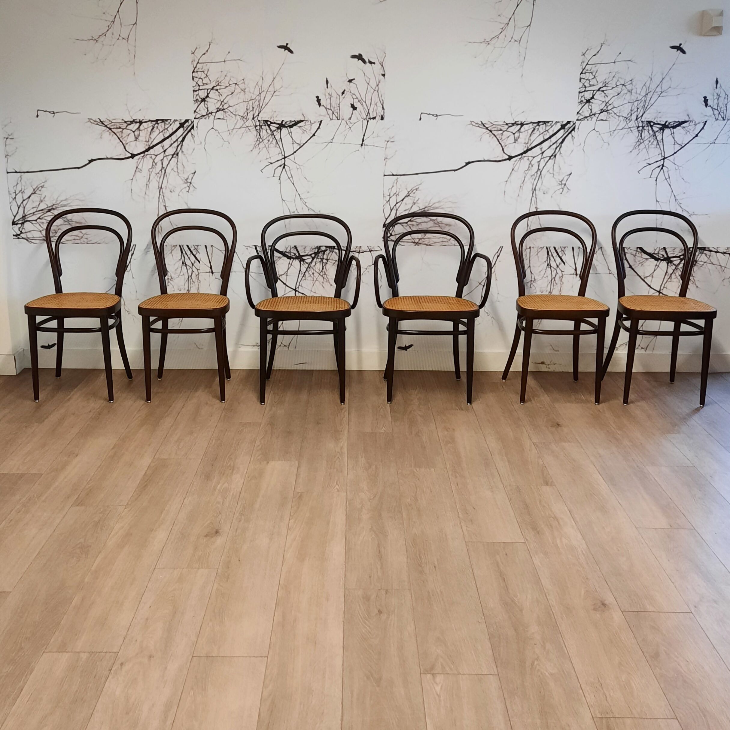 Set of 6 No. 214 chairs by Michael Thonet for Thonet, 1980s