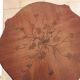 Small round marquetry table