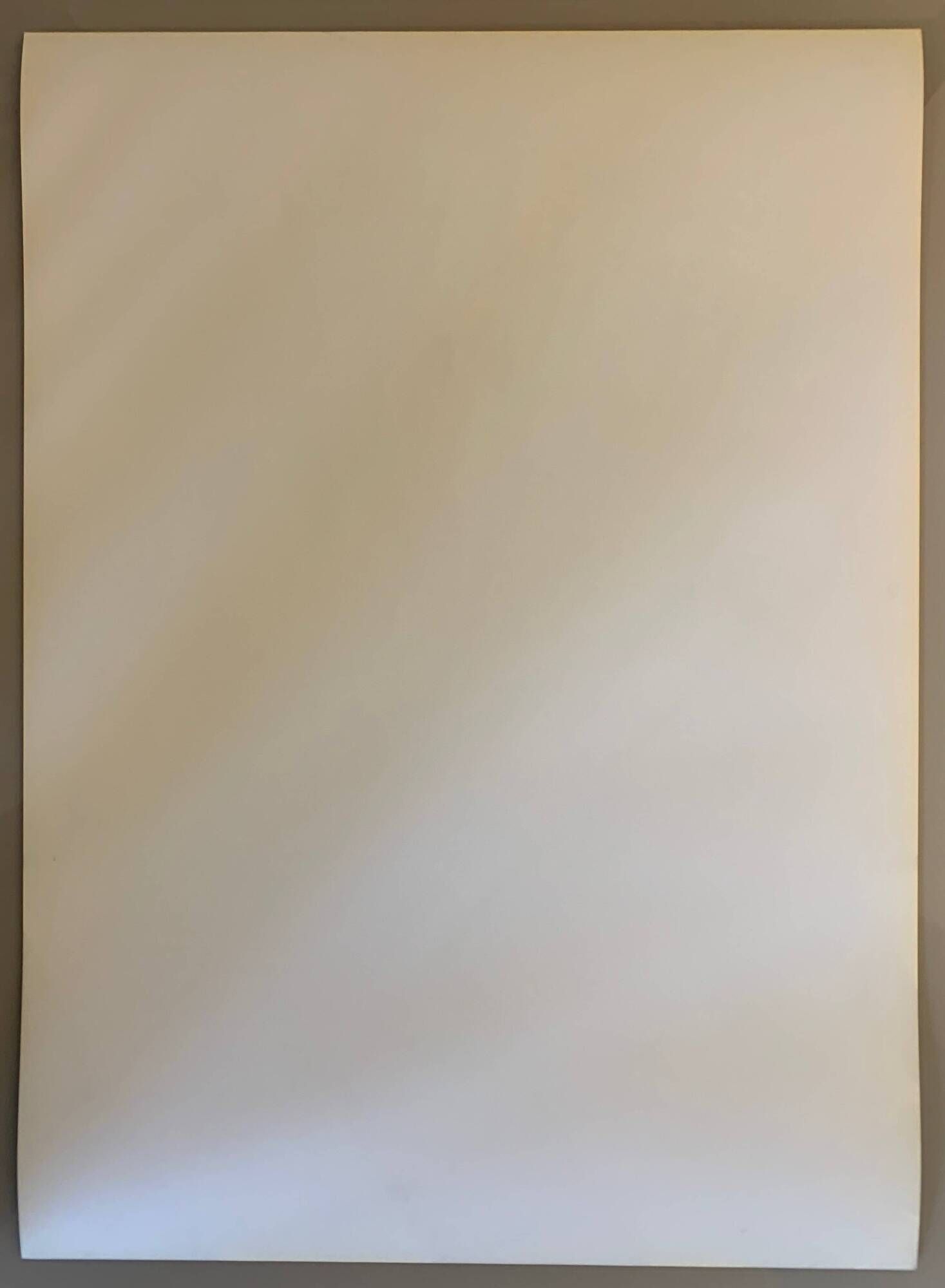 Original lithograph by modern and contemporary artist Peter Klasen art vivant n°1
