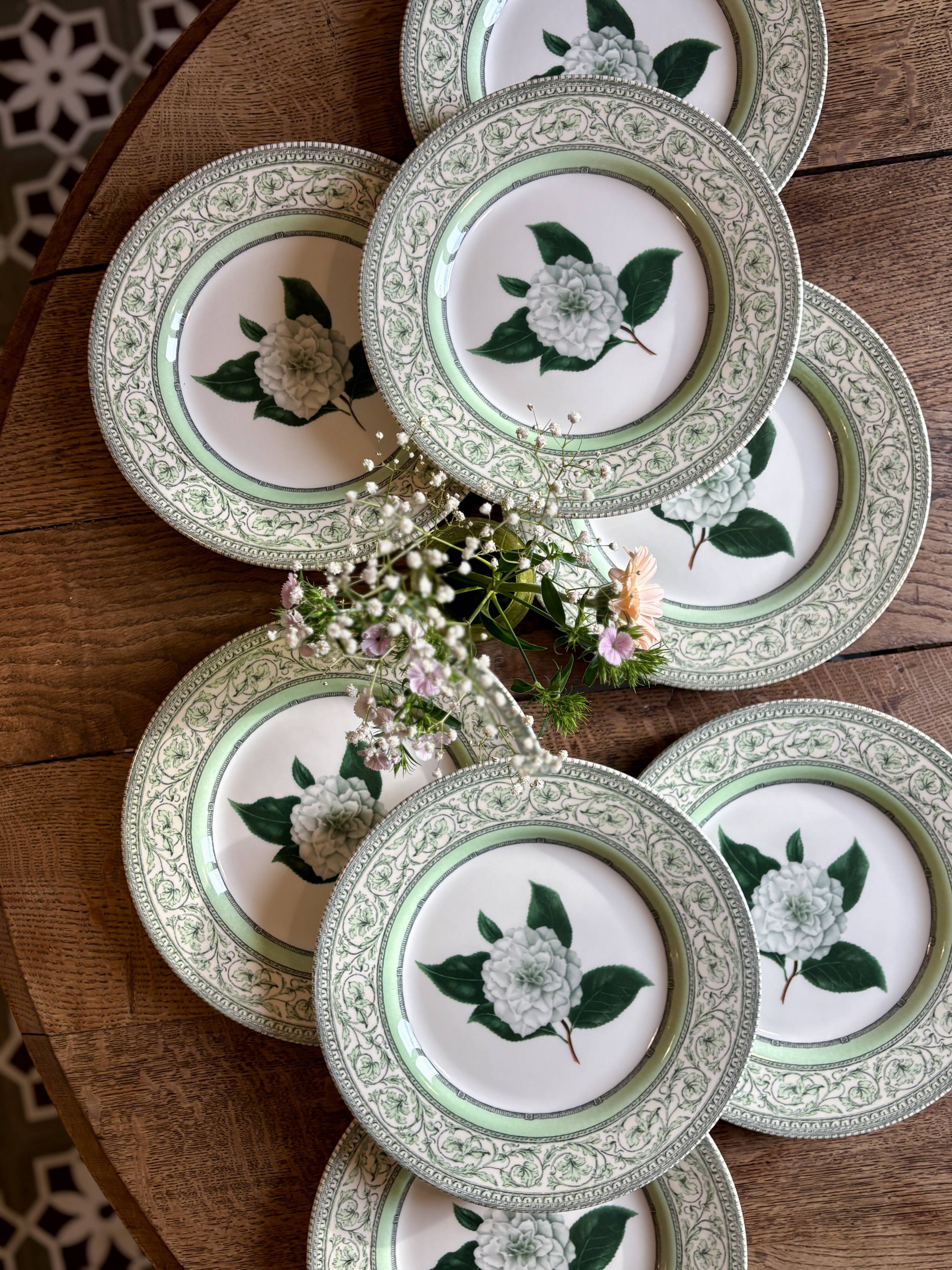 Lot de 8 assiettes plates Camélia - en porcelaine Anglaise