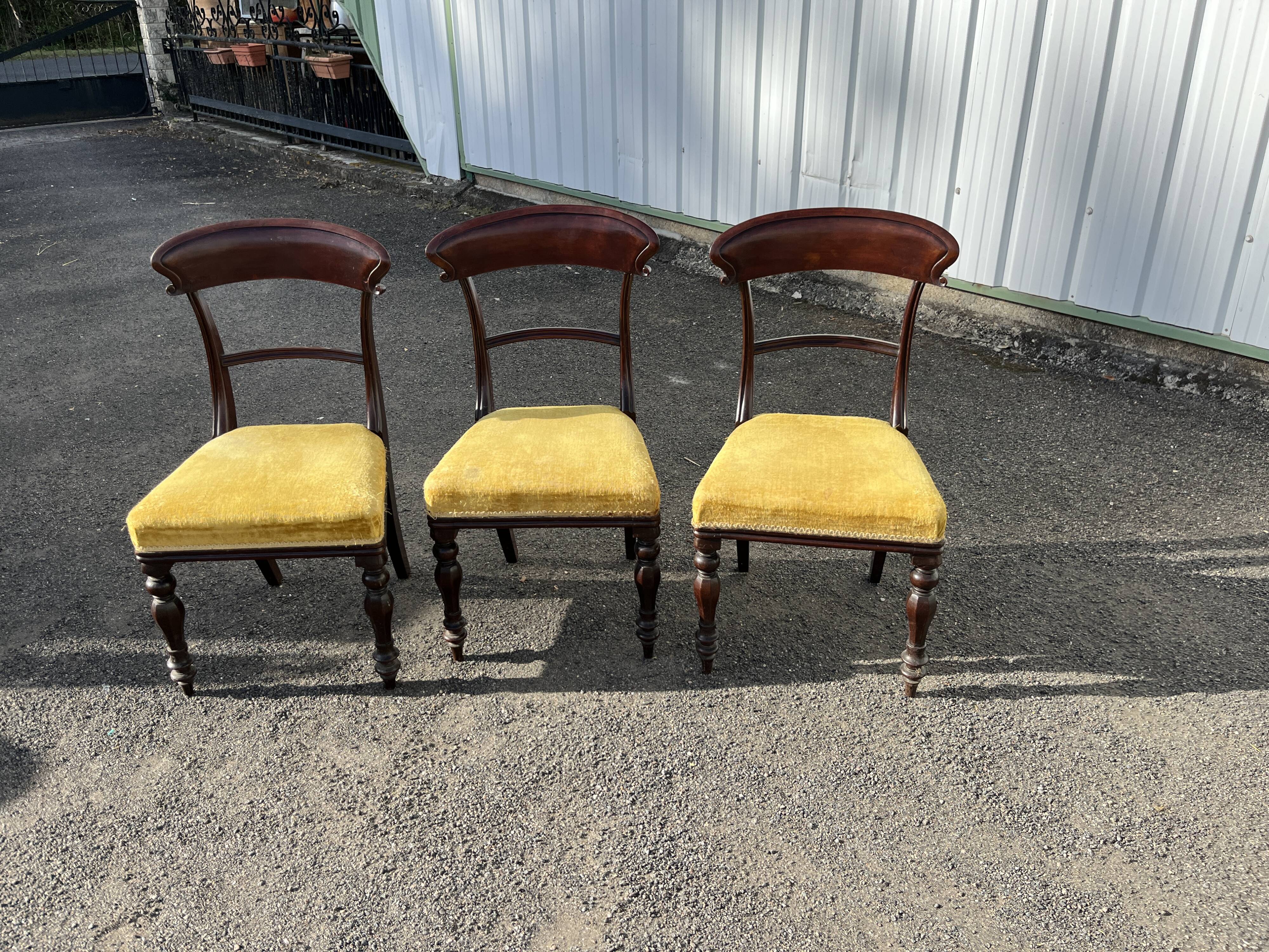 Lot de 3 chaises style victorien – acajou – assise velours jaune