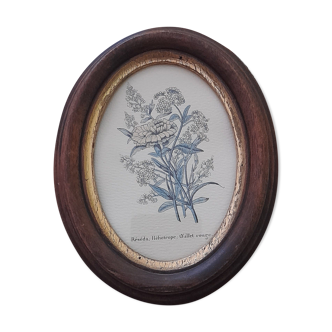 Botanical setting, old oval wood, circa 1960's