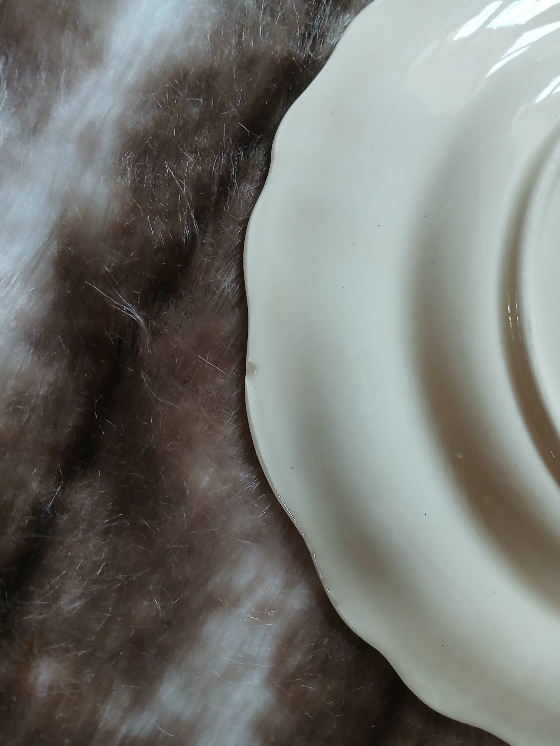 10 vintage Longchamp dinner plates