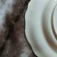 10 assiettes plates anciennes Longchamp 