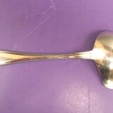 Silver metal sauce spoon