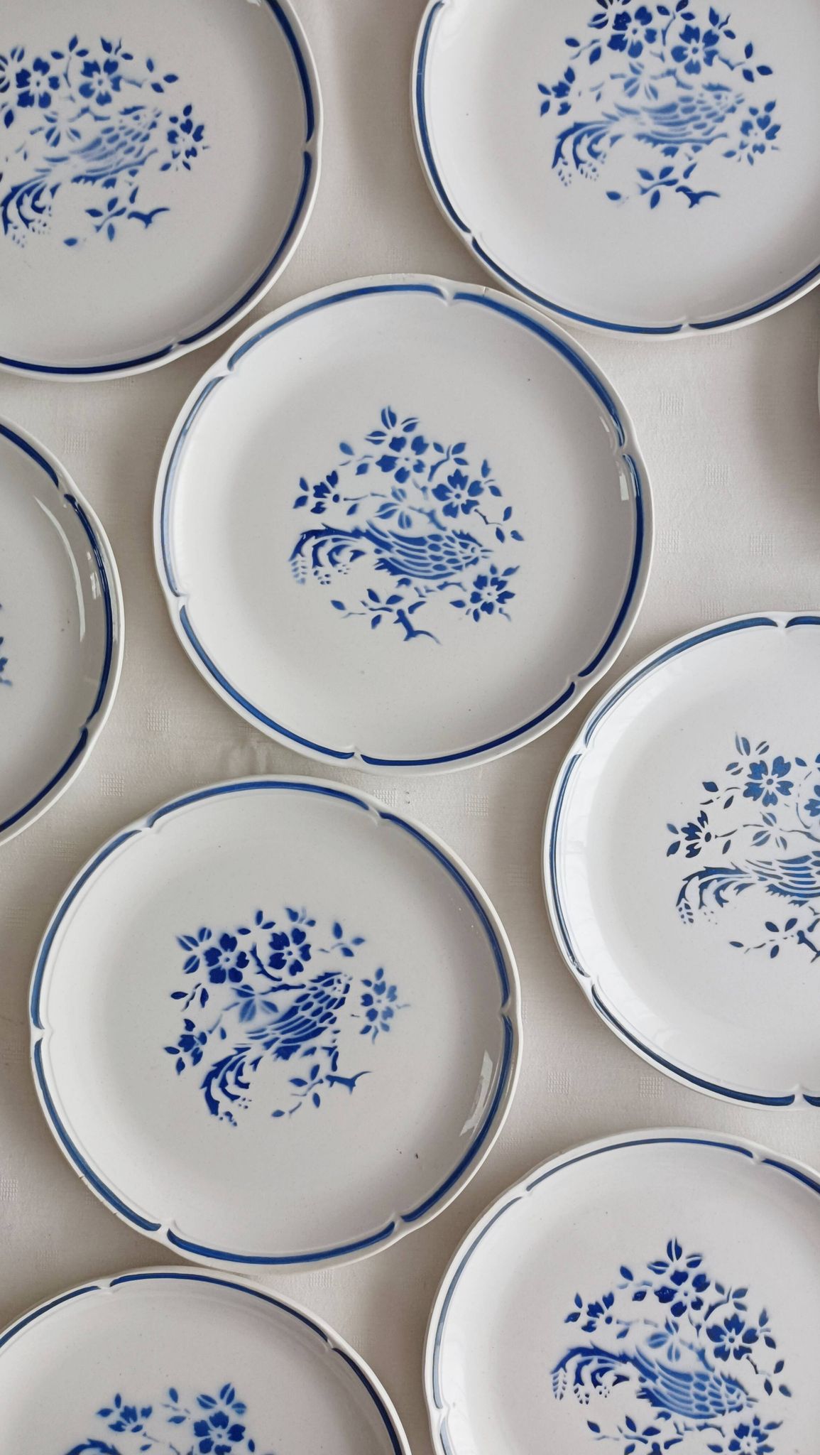 Set of 10 Moulin des Loups dinner plates, Alain