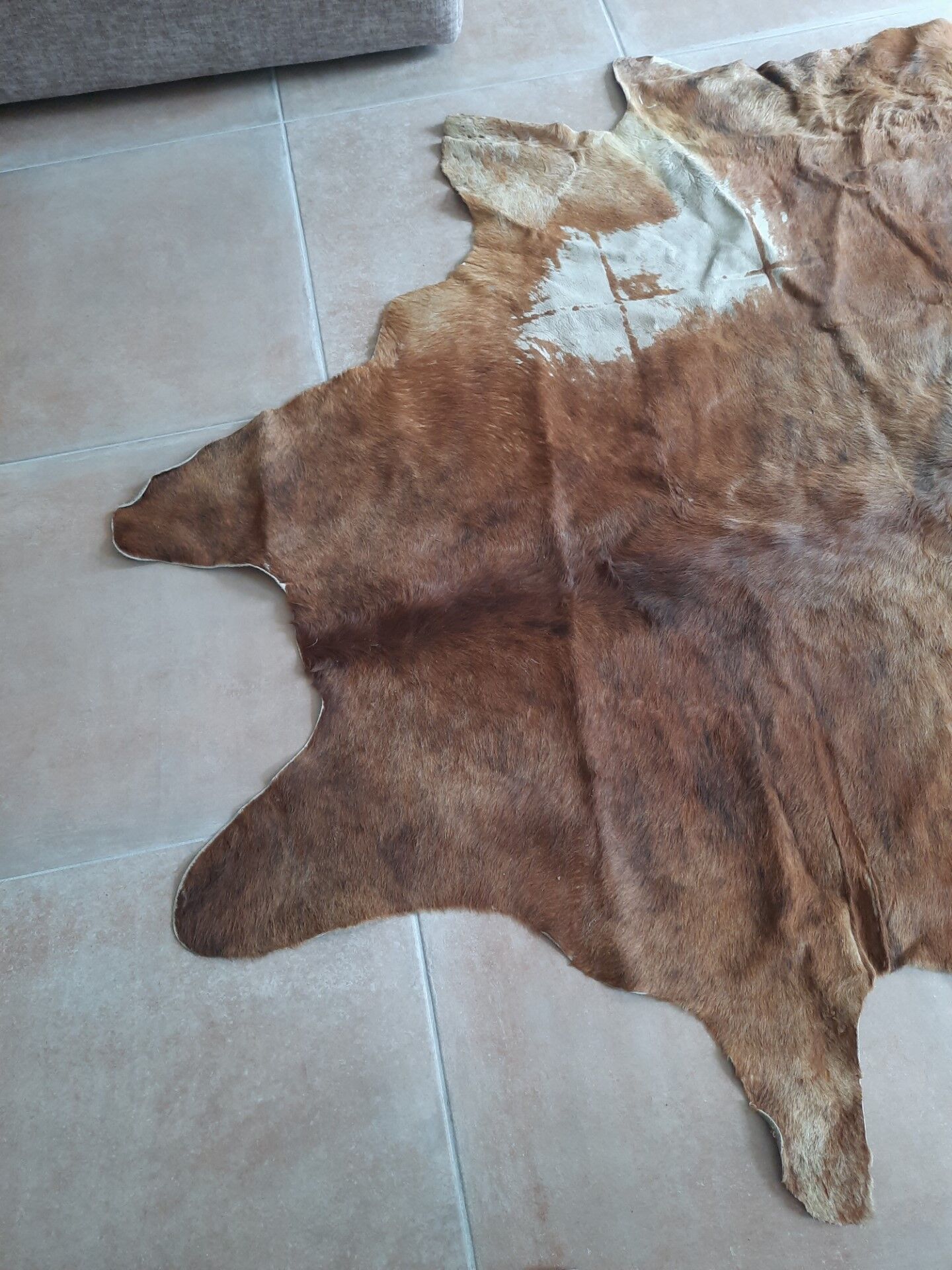 Cowhide carpet 230/190