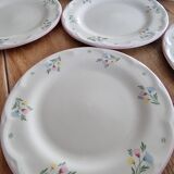 Ensemble de 6 assiettes à dessert fleuris