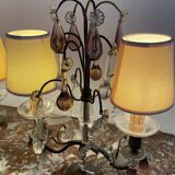 pair of chandeliers, lamp, silver-plated metal, crystal, tassels, florets, pendant, rosettes