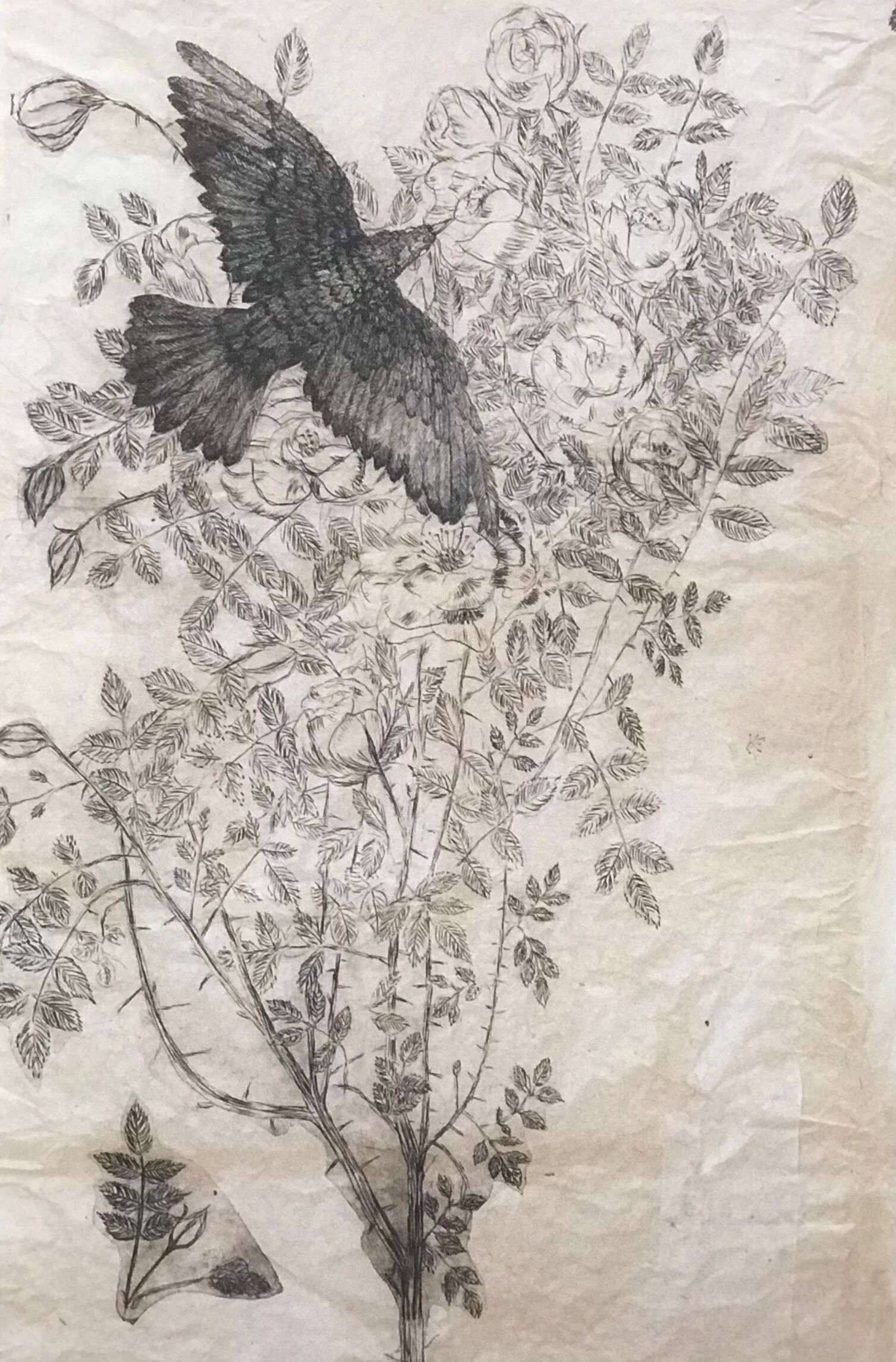Kiki Smith - exhibition poster