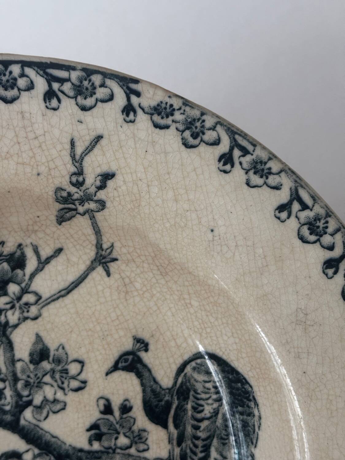 Old hollow plate Gien Terre de Fer Peafowl