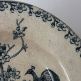 Old hollow plate Gien Terre de Fer Peafowl