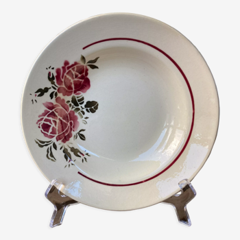 Hollow plate ceramic half-porcelain Badonvillea roses Art Nouveau France