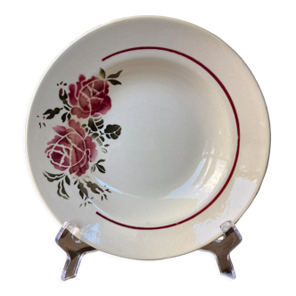 Hollow plate ceramic half-porcelain Badonvillea roses Art Nouveau France