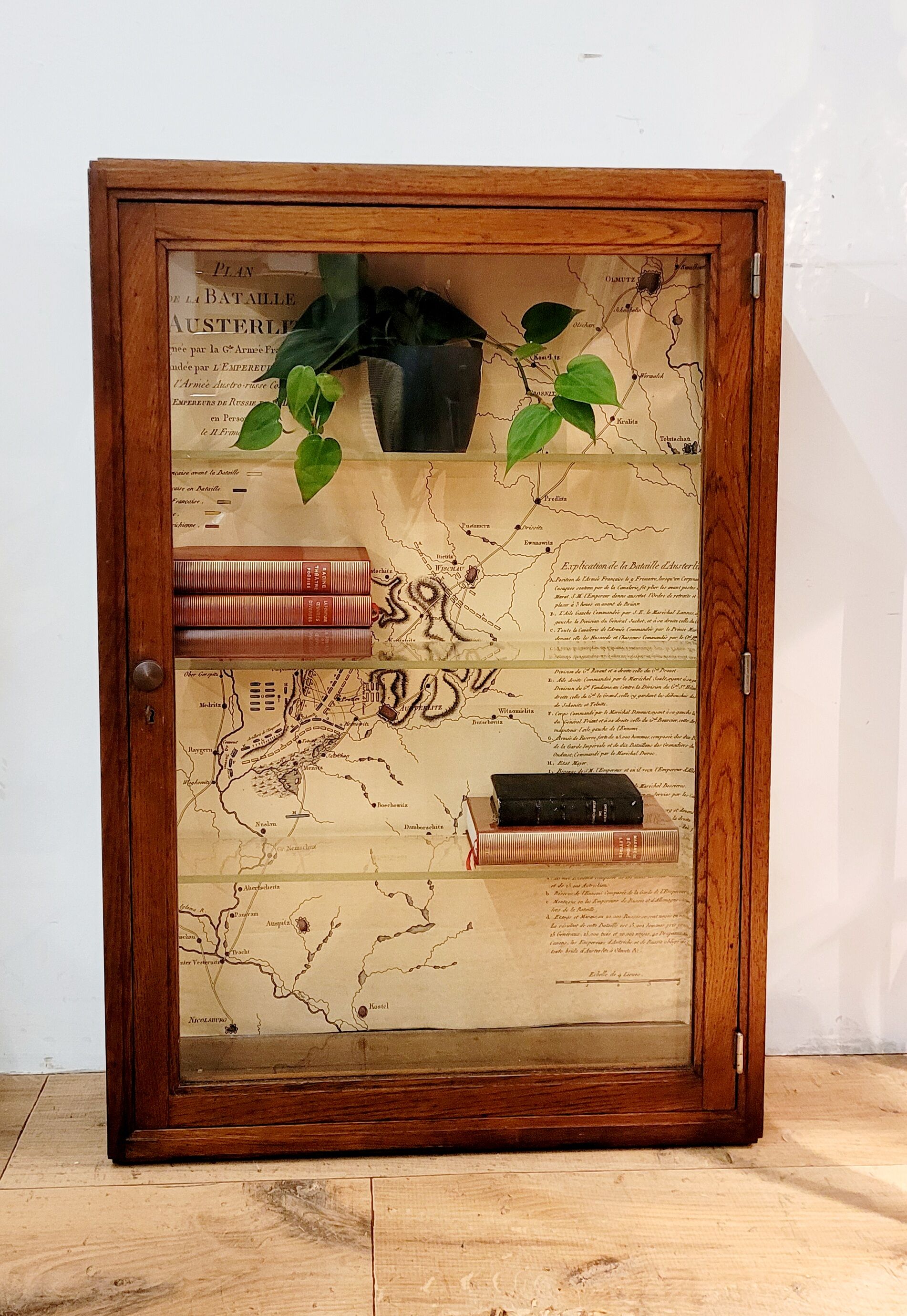 Wooden wall display case