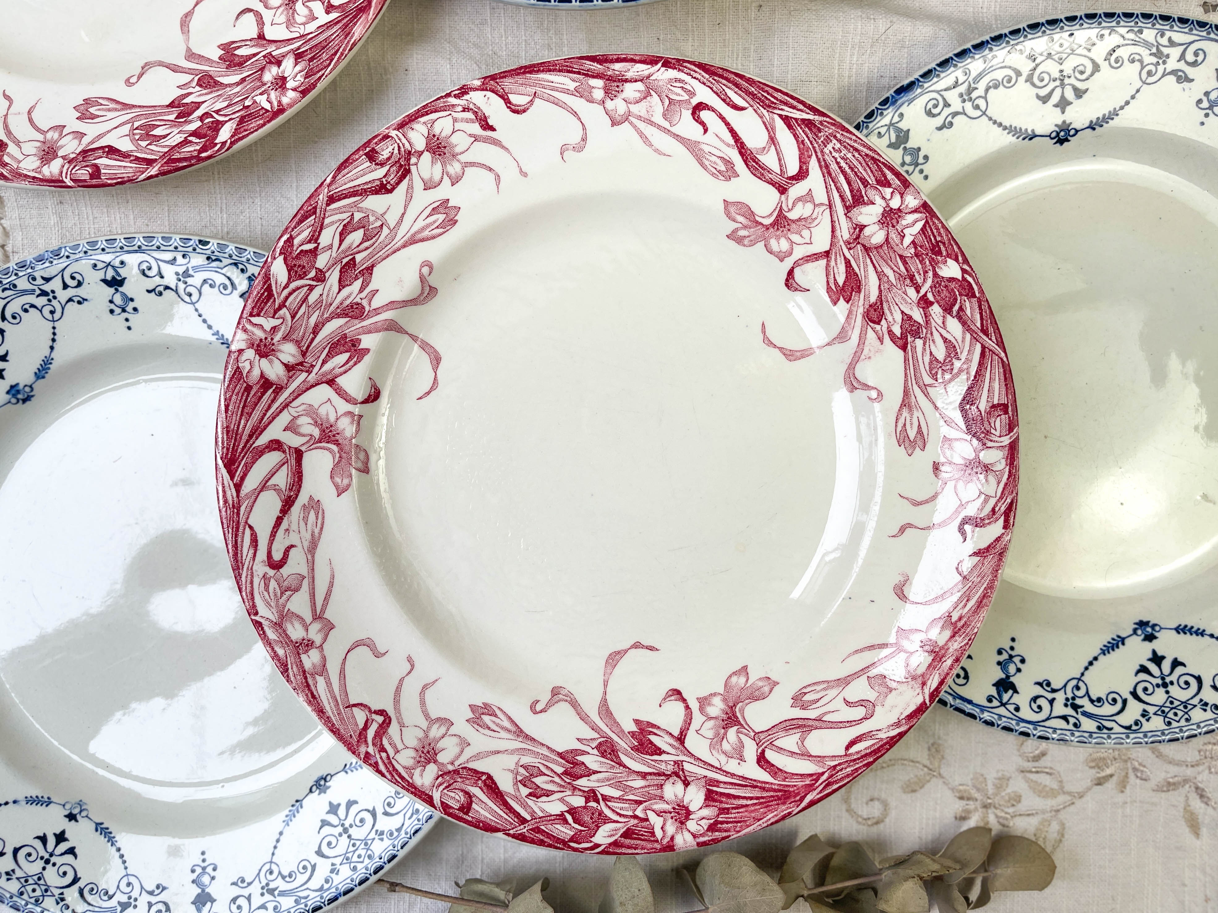 6 flat plates Terre de Fer blue red mismatched