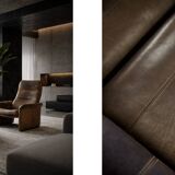 Fauteuil DS-50 vintage en cuir de buffle par De Sede