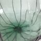 Demijohn screen 10L