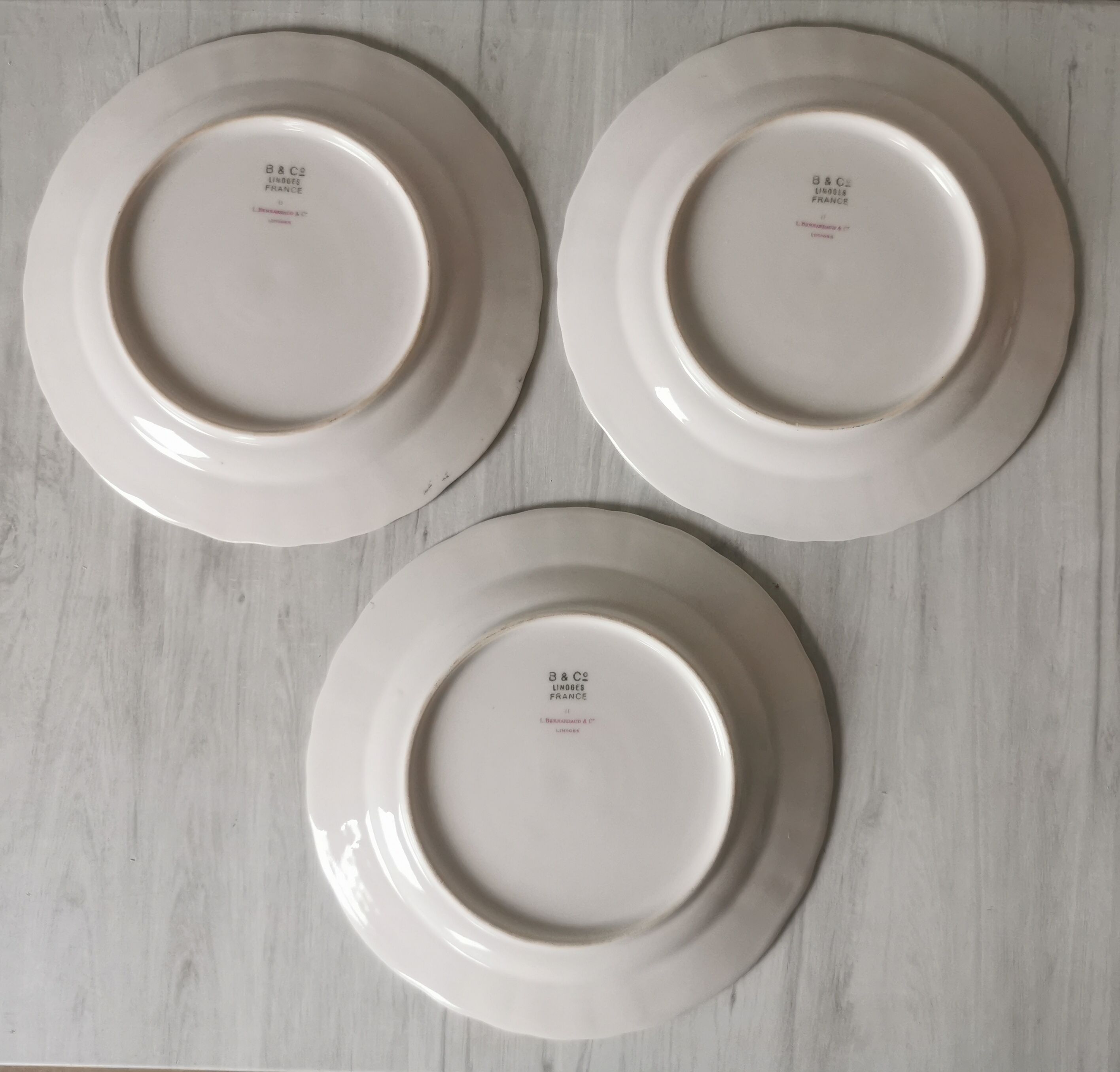 Dessert service and coffee Bernardaud Limoges