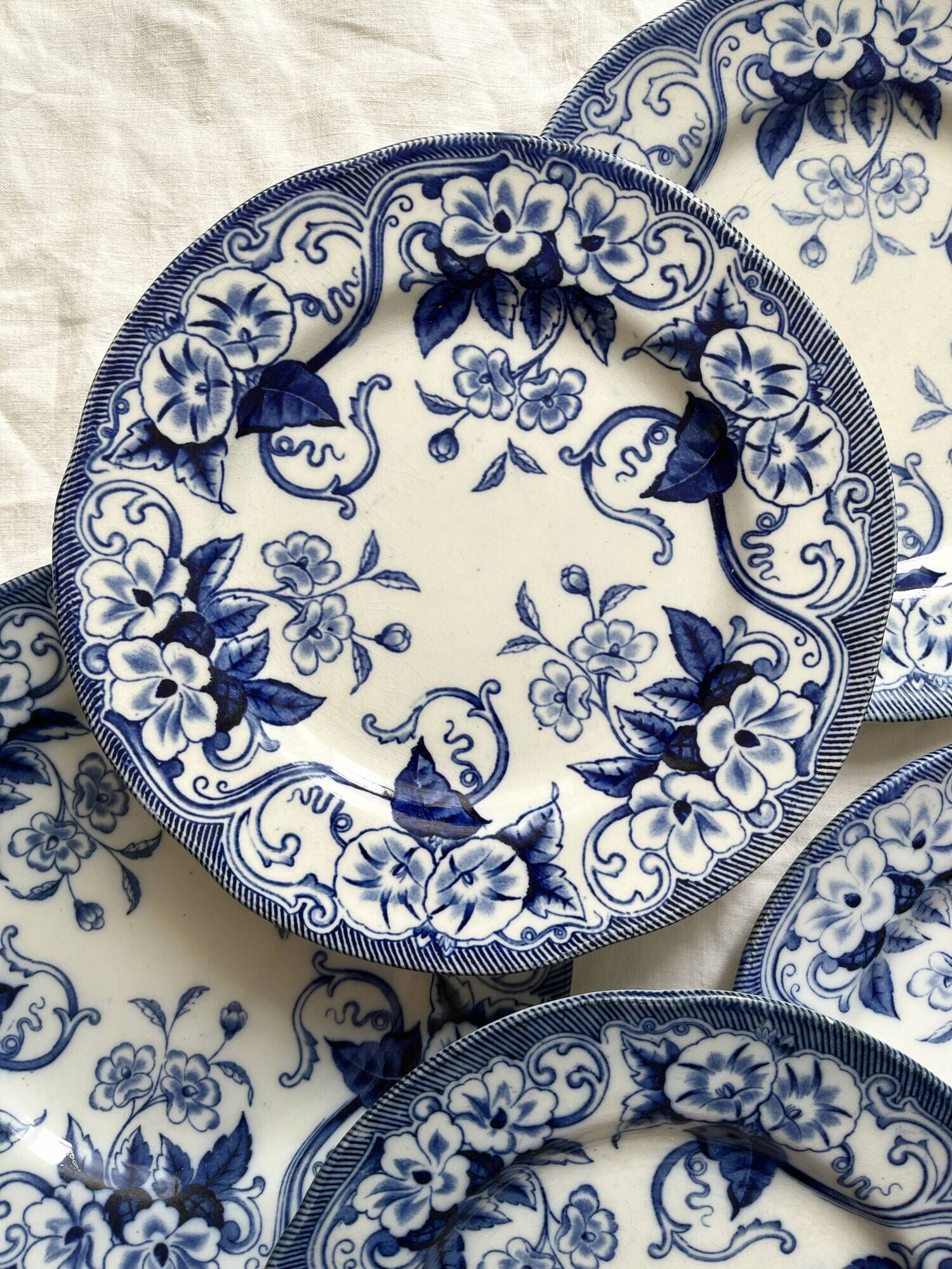 6 dessert plates in iron earth Flora, Creil and Montereau late nineteenth