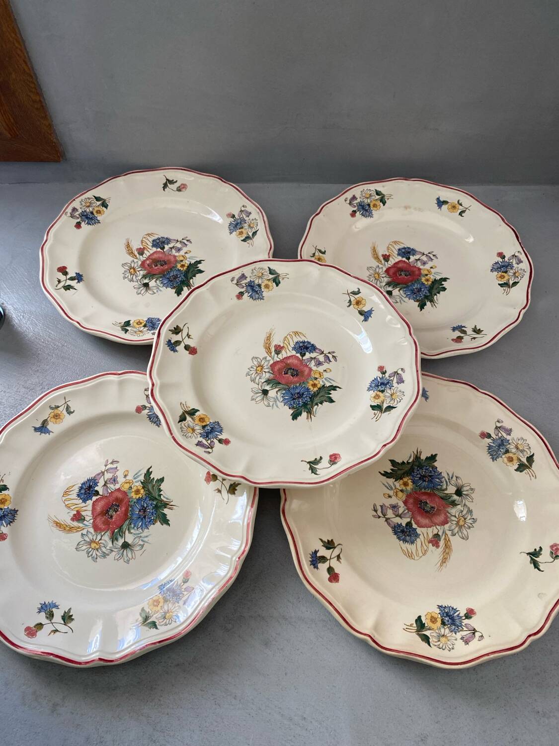 Lot de 5 assiettes Sarreguemines