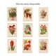 Botanical Engraving 1898 - Aquilegia - Flower in vintage chromolithography