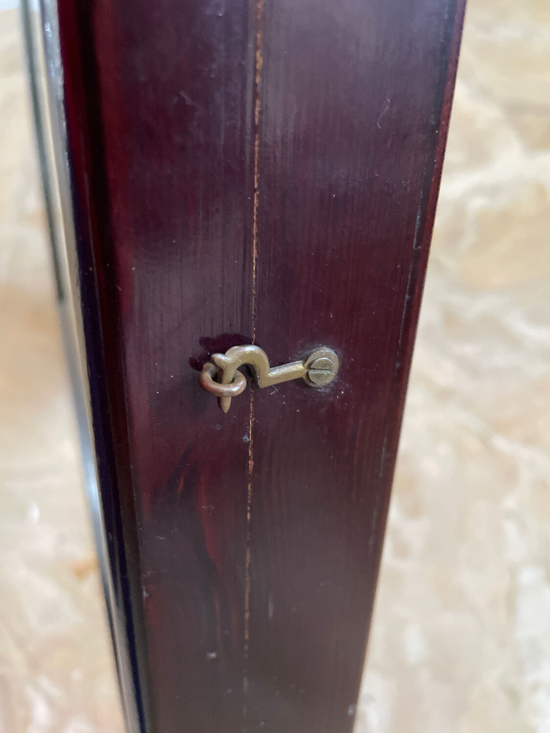 Butterfly framework naturalist entomology