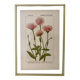 Botanical plate