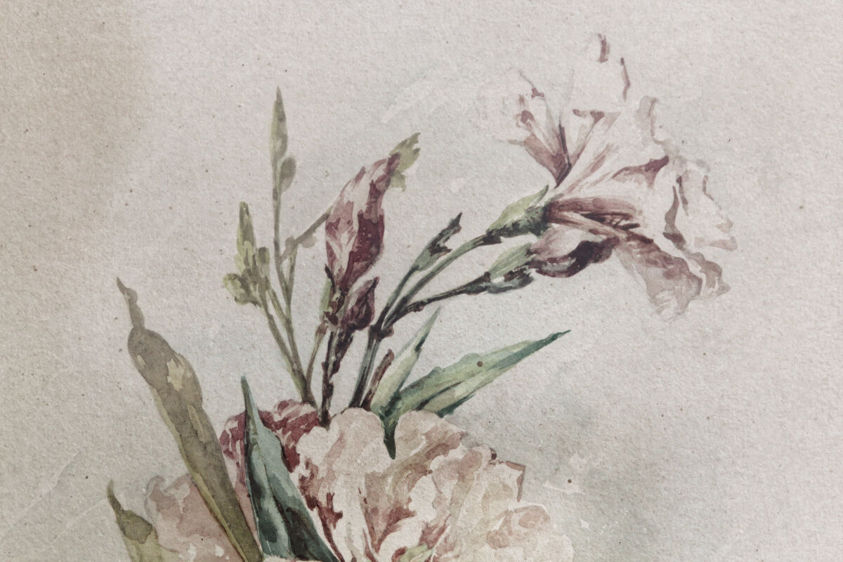 Watercolor with lisera