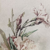 Aquarelle aux liserons