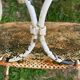 Lot of 2 garden chairs