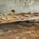 Solid oak farmhouse table "brut" 247x89, top "chocolate oak"