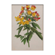 Lithographie gravure planche fleurs vintage - 1850