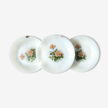 Set of 3 flowered Arcopal plates